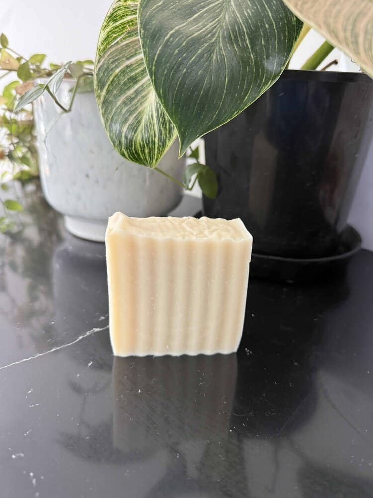 Tallow Shampoo Bar - NaturalCare
